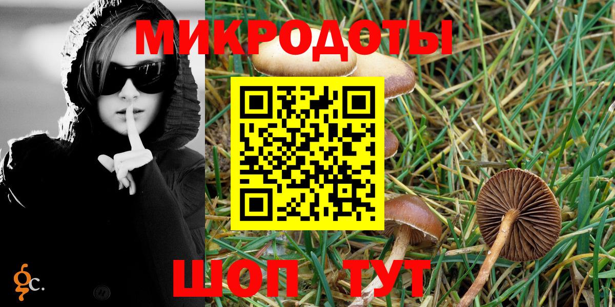 Галлюциногенные грибы мицелий Биробиджан