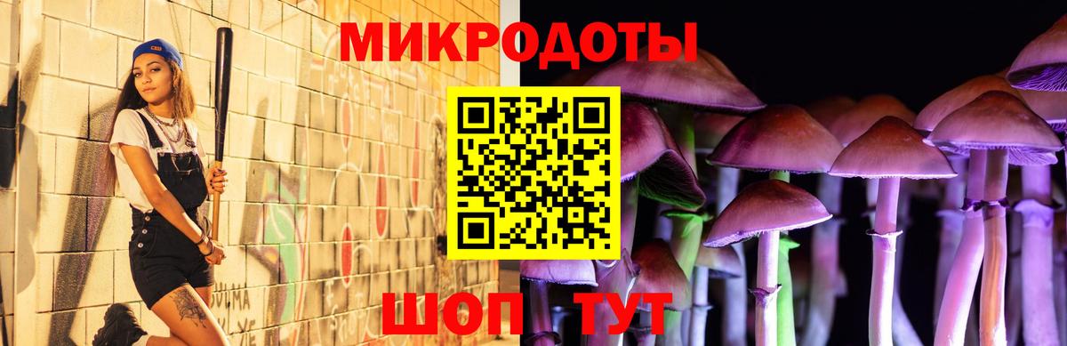 Галлюциногенные грибы мицелий  Вход с VPN  Биробиджан 